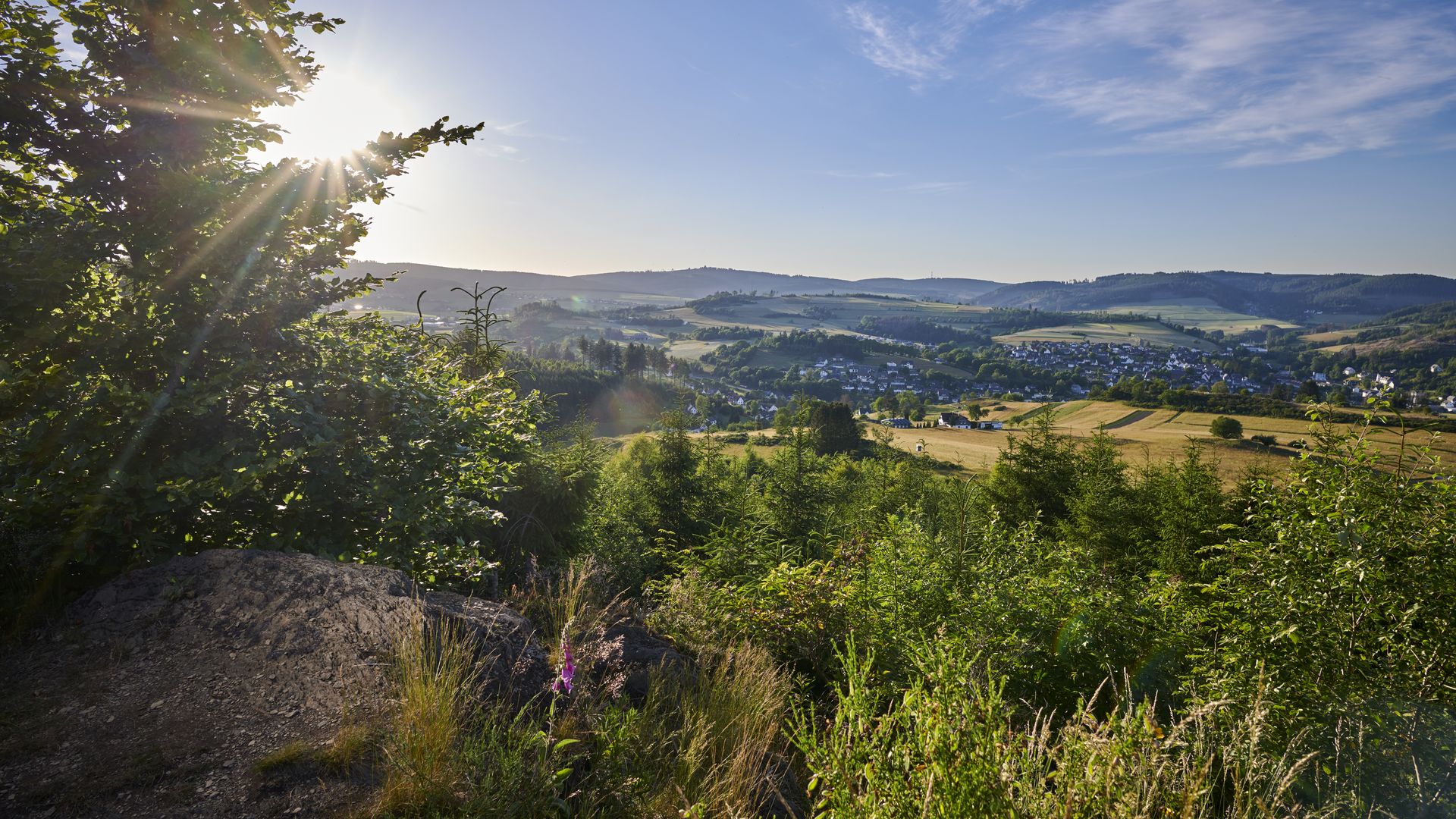 Sommerliche Aussicht vom Panoramablick Hohe Ley