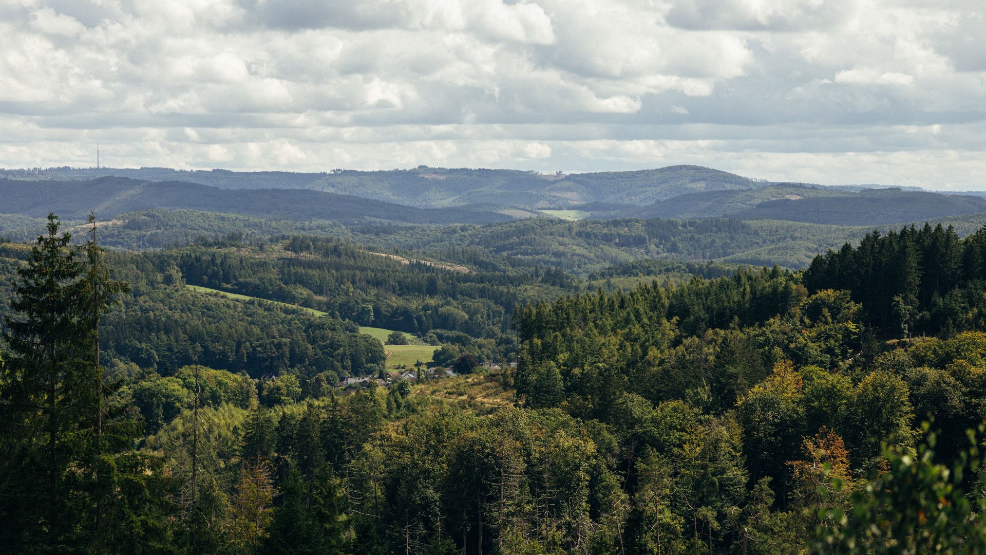 Sommerliche Aussicht vom Kindelsbergturm ins Tal