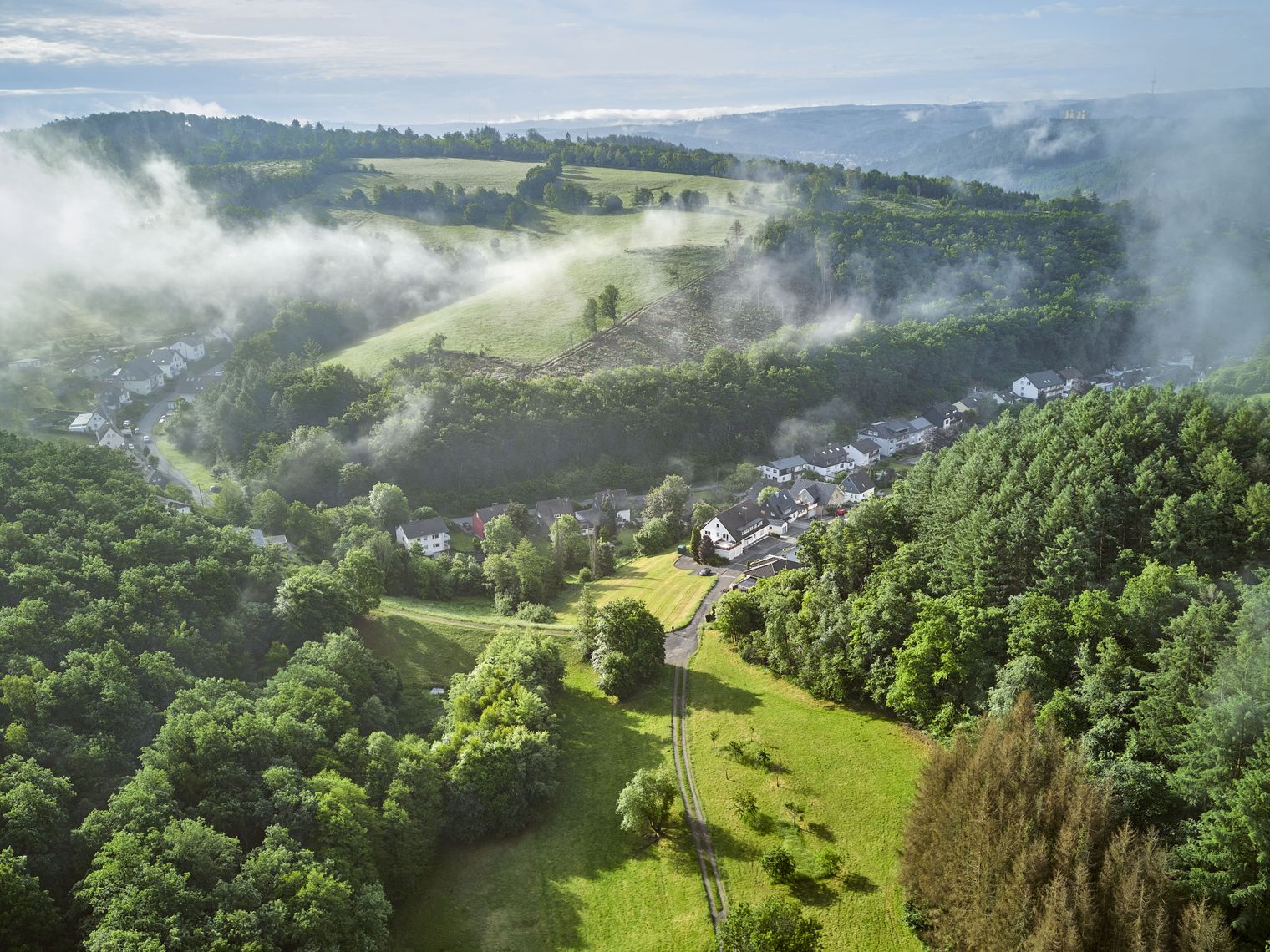 Das Bild zeigt eine grüne Wiese umgeben von Wald aus der Vogelperspektive.