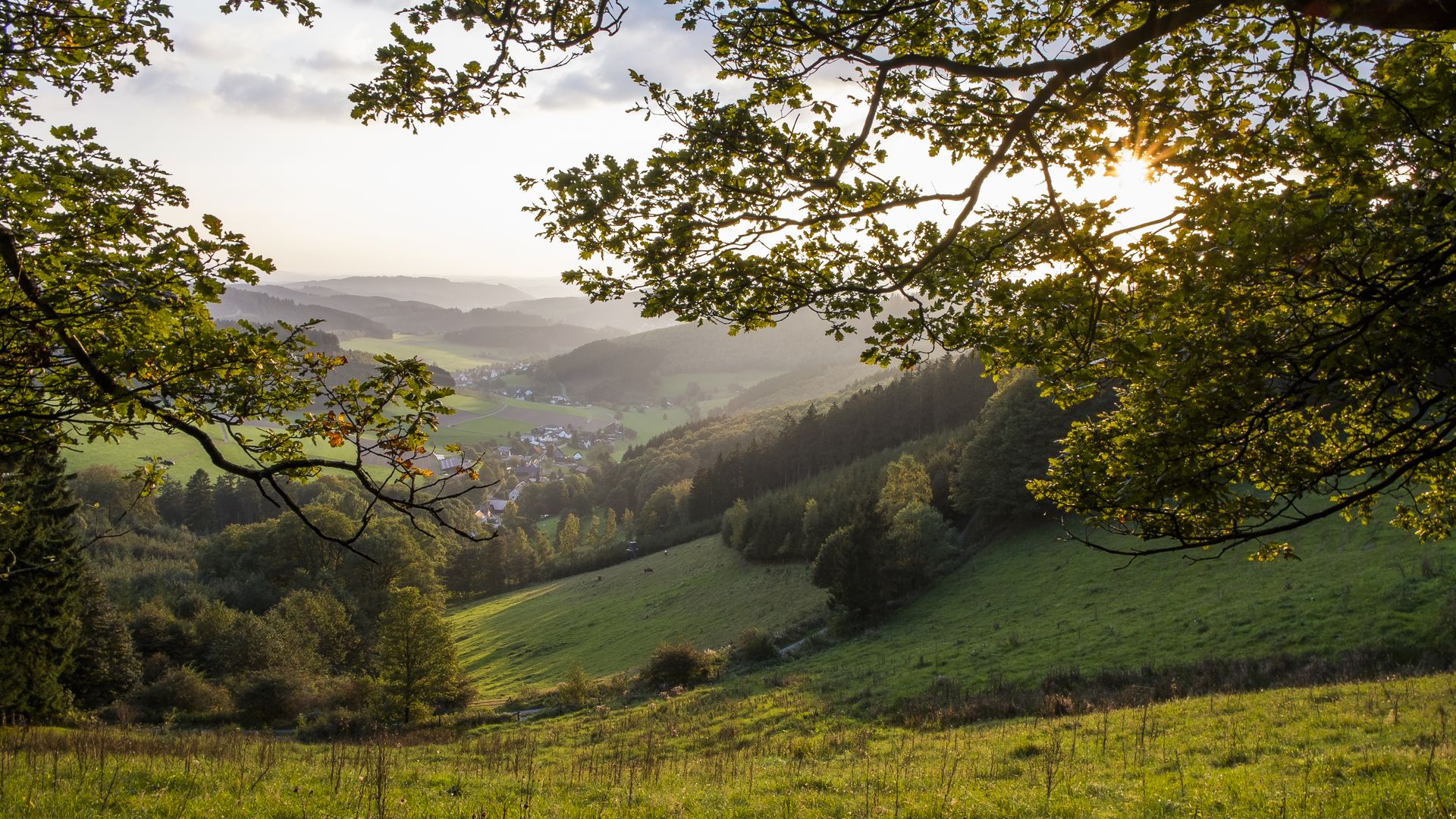 Aussicht von der Oberndorfer Höhe
