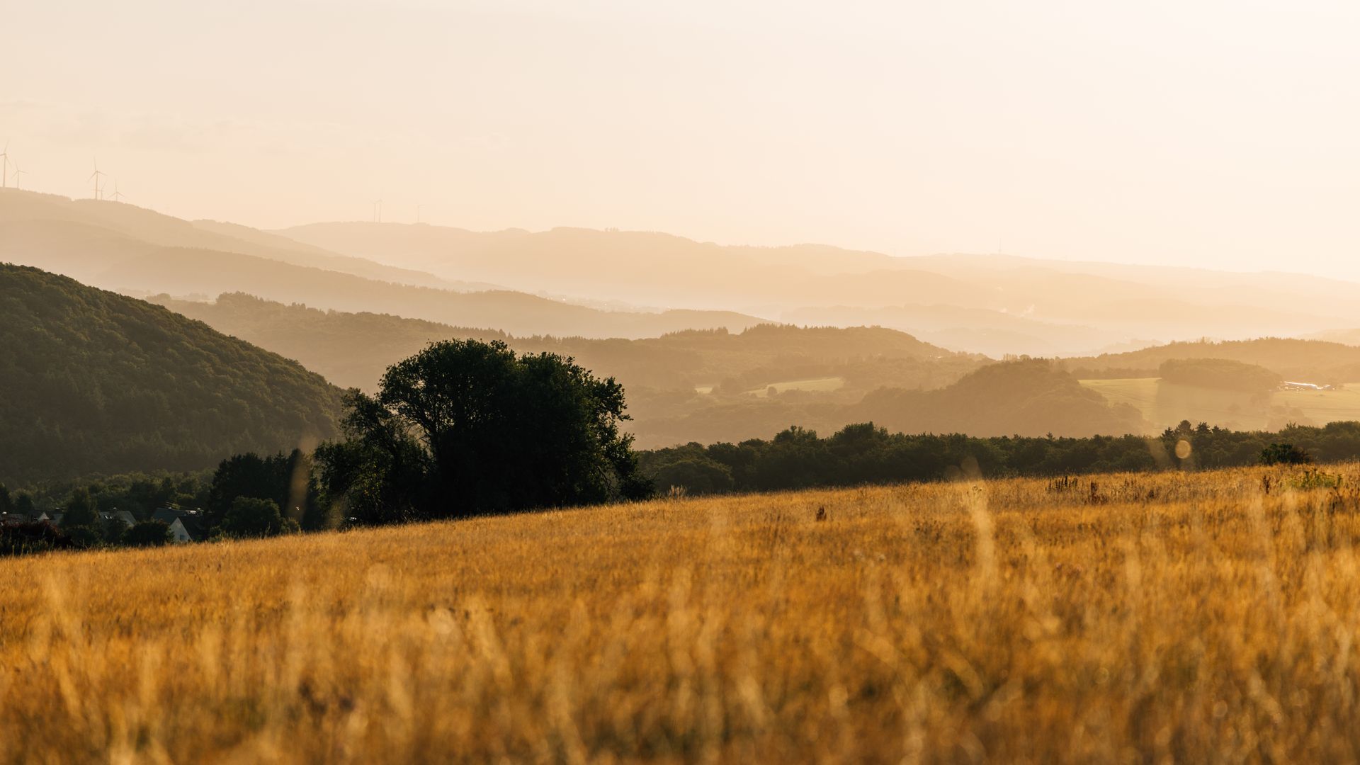 Ausblick mit Sonnenuntergang auf dem Romantischen Hickengrund